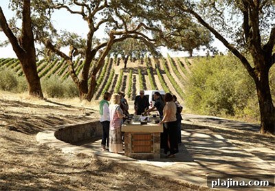 Jordan Winery outdoor wine and olive oil tasting © JORDAN WINERY