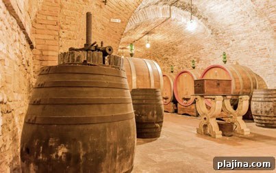 Vine Nobile di Montepulciano cellar