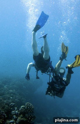 Divers exploring a reef off Bora Bora