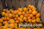 7 Fall Festivals Happening This Season You Can Still Attend 5 img 90276 12