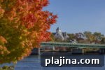 7 Fall Festivals Happening This Season You Can Still Attend 9 img 90276 16