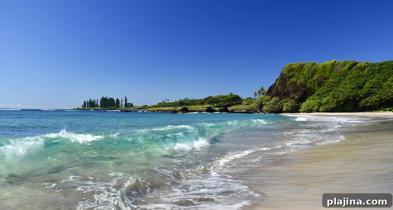 Maui’s Hamoa Beach