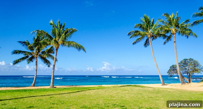 Poipu Beach