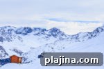 img 91139 12
