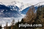 img 91139 14