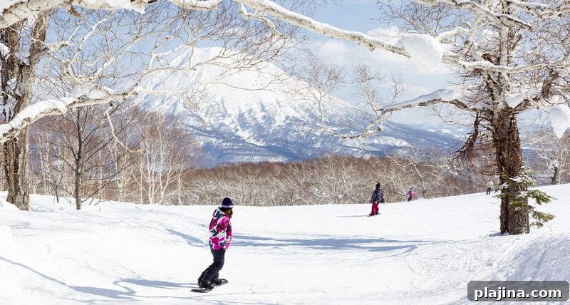 ski