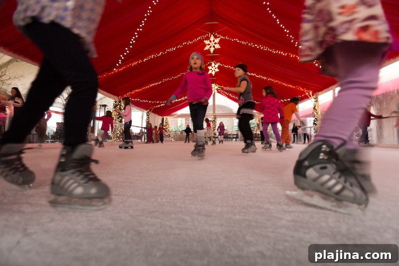 Astor Ice Skating Rink