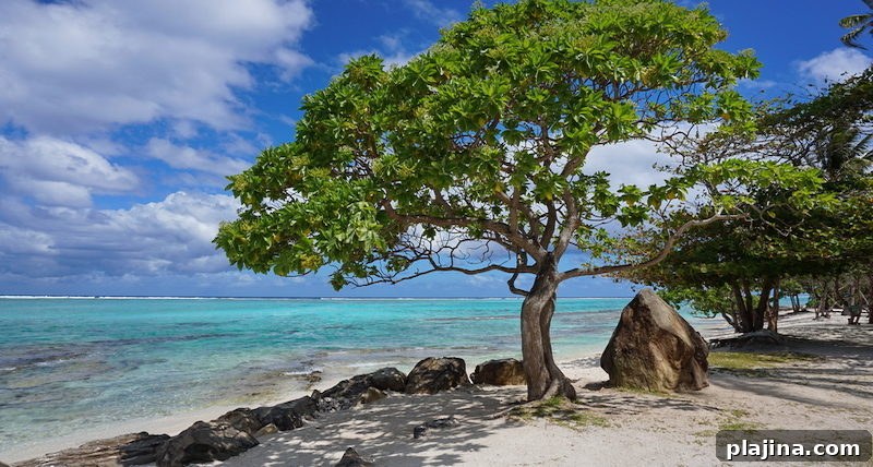 French Polynesia