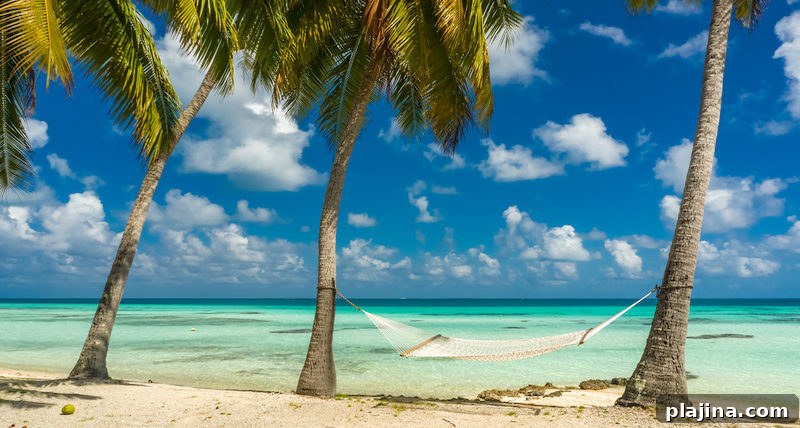 Tropical beach