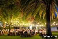 Insider’s Guide to Napa Valley Peak Season
